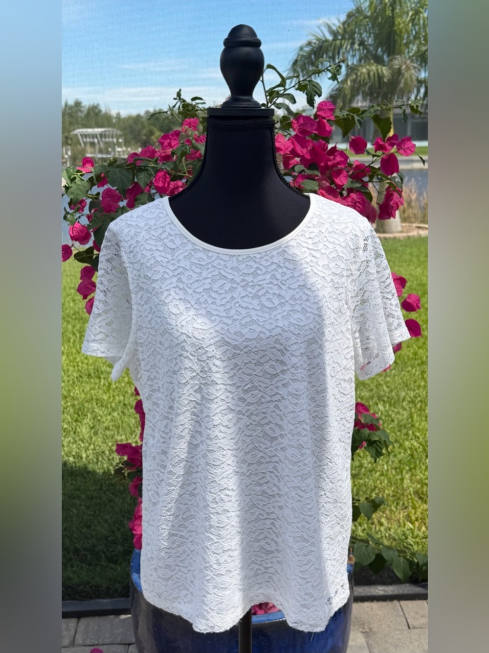 EUC Premise‎ Off White, Romantic Lace Short Sleeve Blouse, Size L